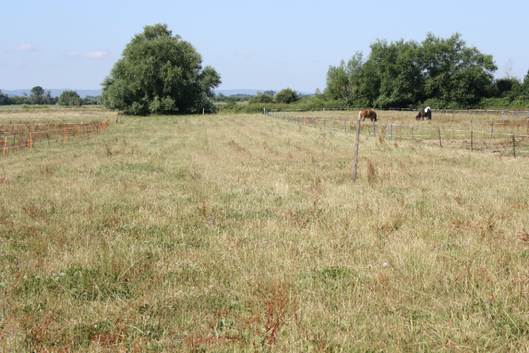 DIY Horse and Pony Livery on Private Yard