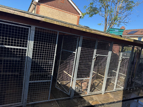 DOG / PUP PENS GALVANISED