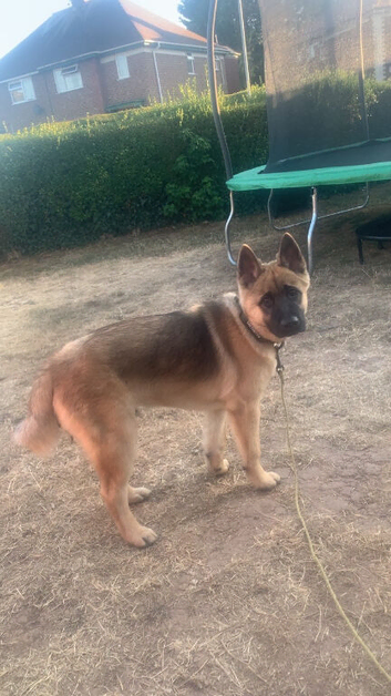 For sale