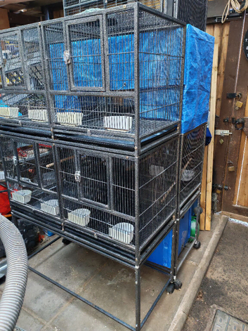 Cages