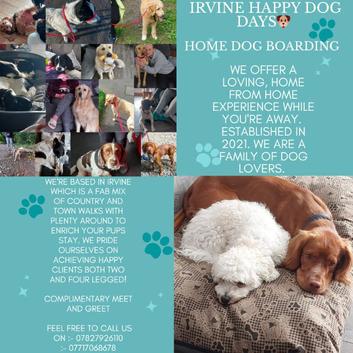Dog Home Boarding
