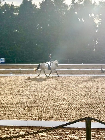 More Than Just a Livery Yard