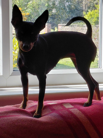 Stunning girl