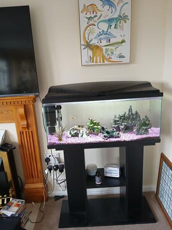 70litre Aquarium complete