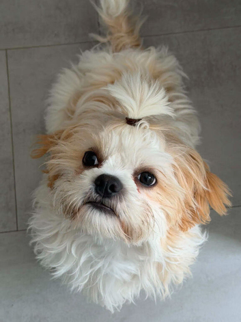 6 months old