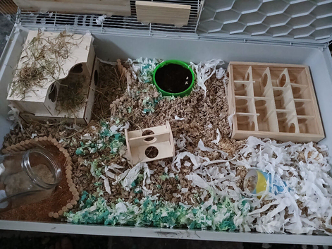 Hamster cage/enclosure Habitat 3