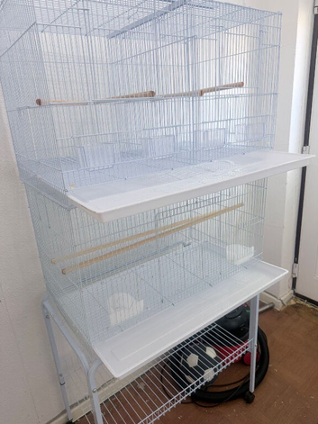 Breeding Cage for sale