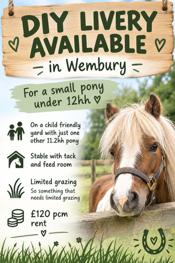 DIY LIVERY SPACE AVAILABLE - SMALL PONY UP TO 12hh in wembury
