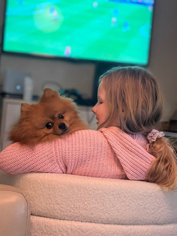 Male Pomeranian
