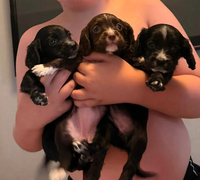 we need homes!