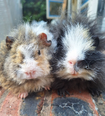 2 gorgeous boys ready to leave now !