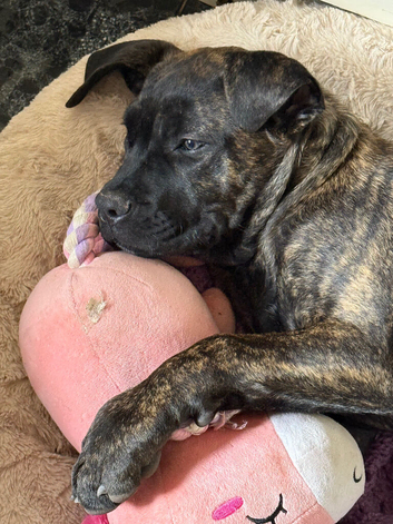 Coco