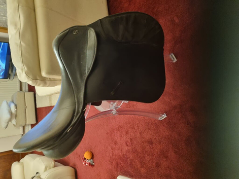 Black Saddle