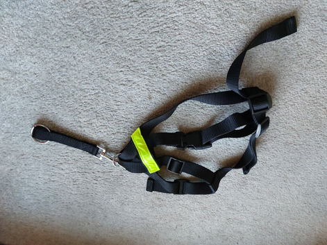 DOG HARNESS WITH CAR FIXING