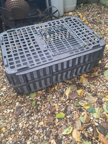 Poultry chicken crate