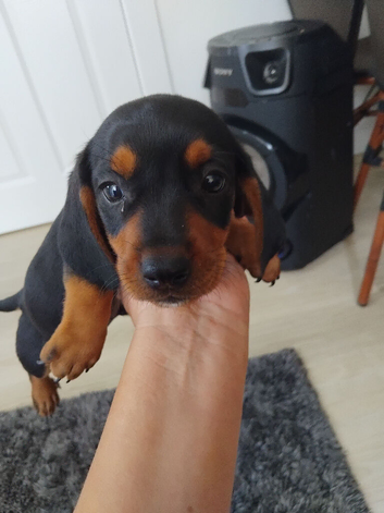 Last boy left looking for his new family