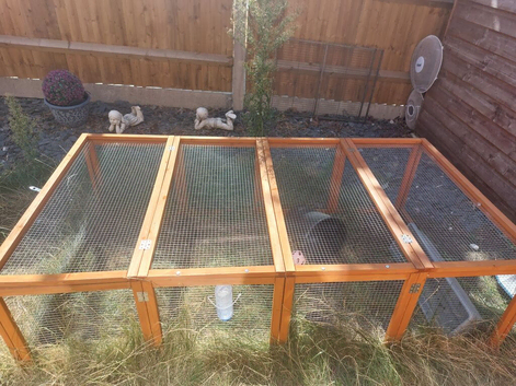 Rabbit run