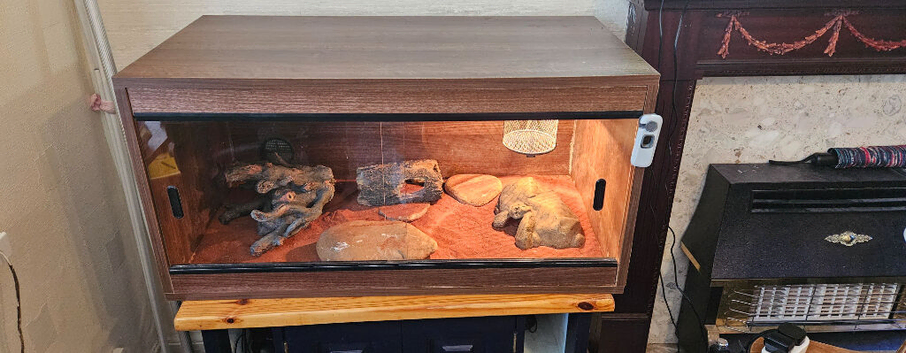 Terarium/ Vivarium