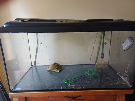 fishtank and ocean rock for sale
