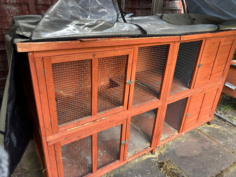 Rabbit hutch and cover