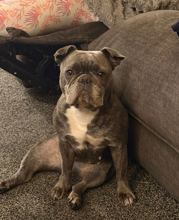 Betty 7 year old Frug