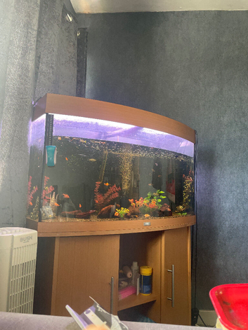 180 litre fish tank and the fish init aswell comes with heater and lights filter