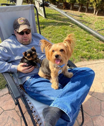 2 small miniature size Yorkie boys