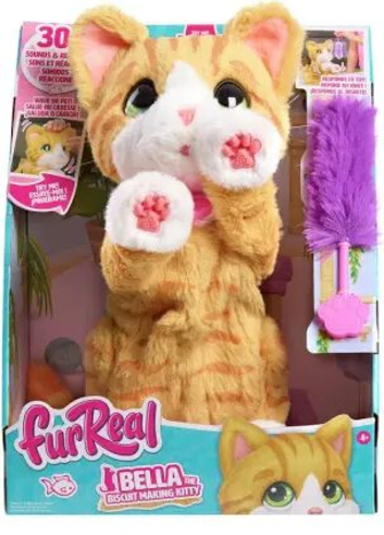 Kitten for sale