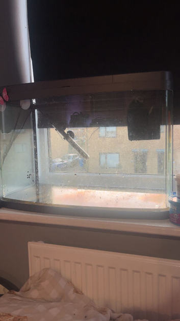 65L fish tank