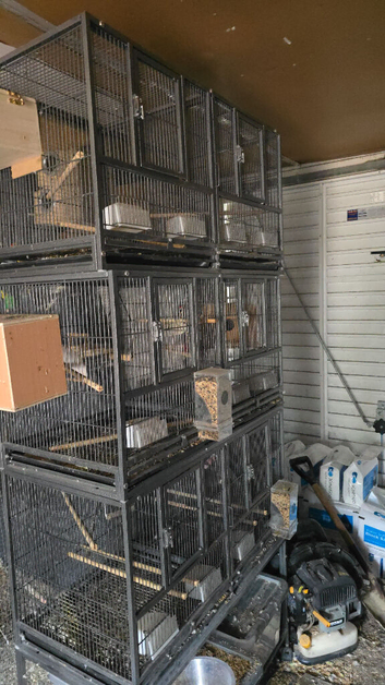 Triple stacked bird cage with dividers
