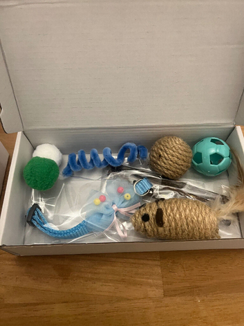 DC Fertility Services (Kitty Kat Packs)