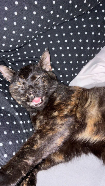 Winnie