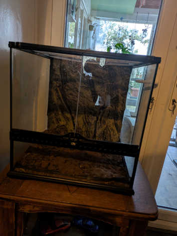 Exo terra terrarium