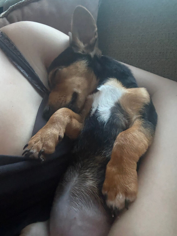 Rosie