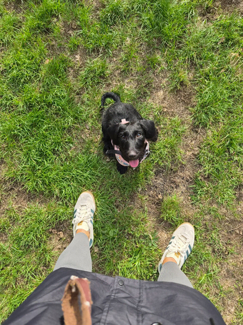 Doxiepoo