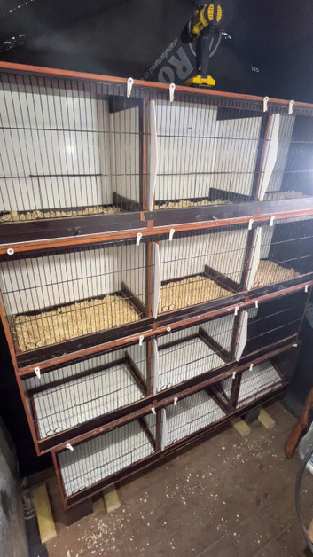 Breeding cages