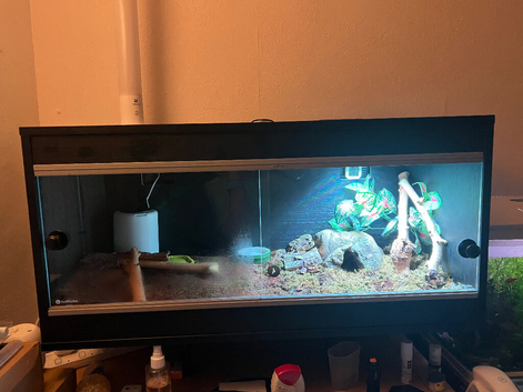 Vivarium