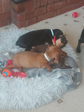 1 male 1 female