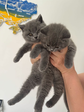 Female and male