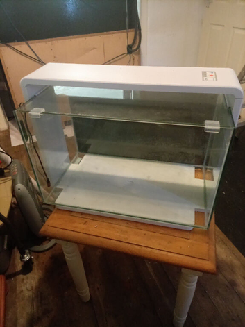 Fish tank and fish