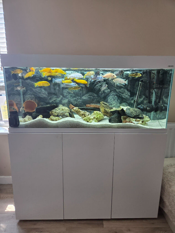240ltr aquarium/cabinet