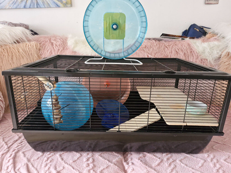 X-large hamster/gerbil/mouse cage