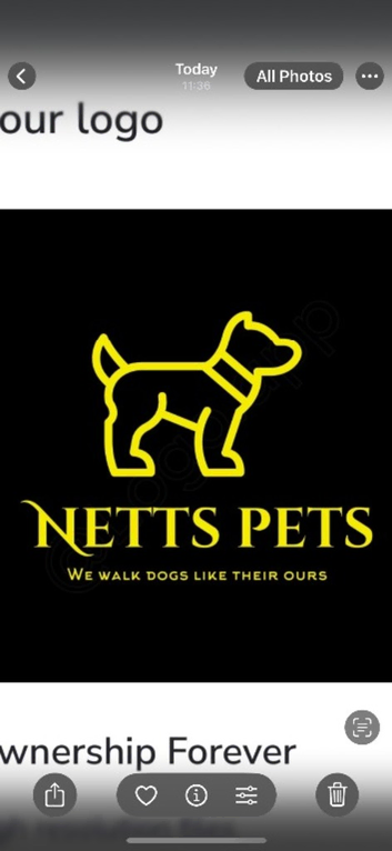 Dog walking