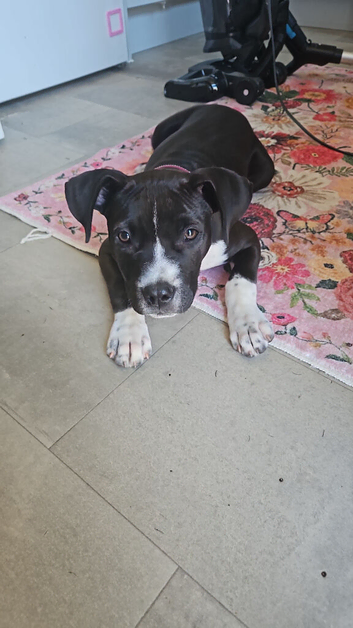 Coco