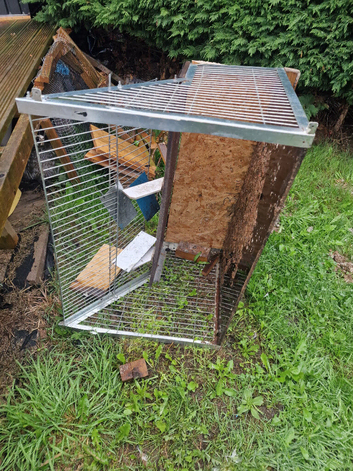 Pigeon trap