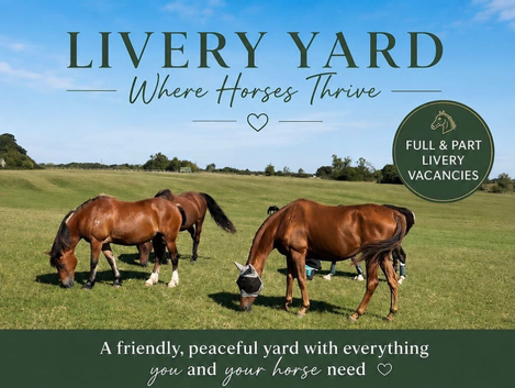 Livery vacancy&rsquo;s