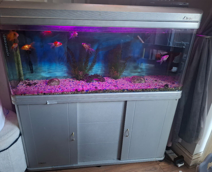 Fish tank and tank
