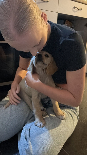 Female pup