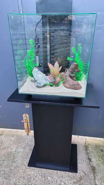 Fluval Edge 46L aquarium