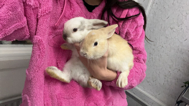 Bonnie and elena pair